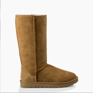 UGG Classic II Genuine Shearling Lined Tall Boot
